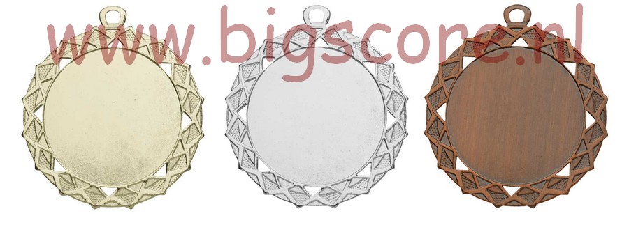E 6005 Medaille Zilver-Brons compleet OP=OP!!